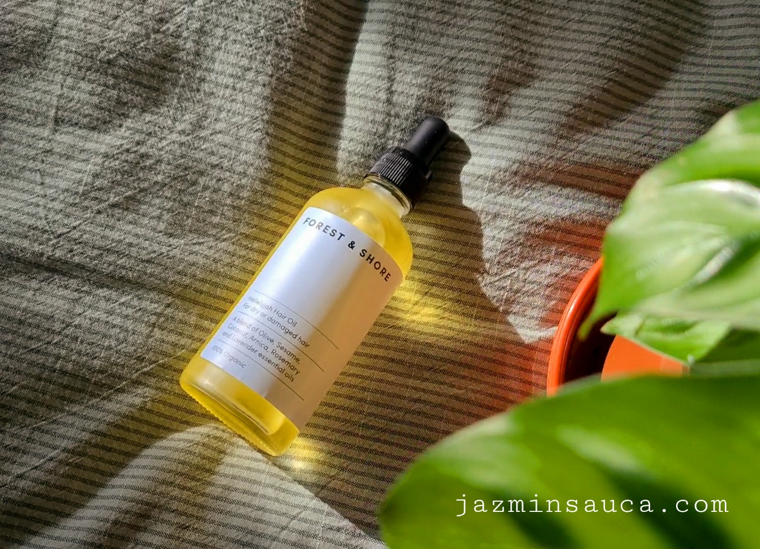 Forest & Shore Hallelujah Hair Oil Review! – A Beauty-full World Blog